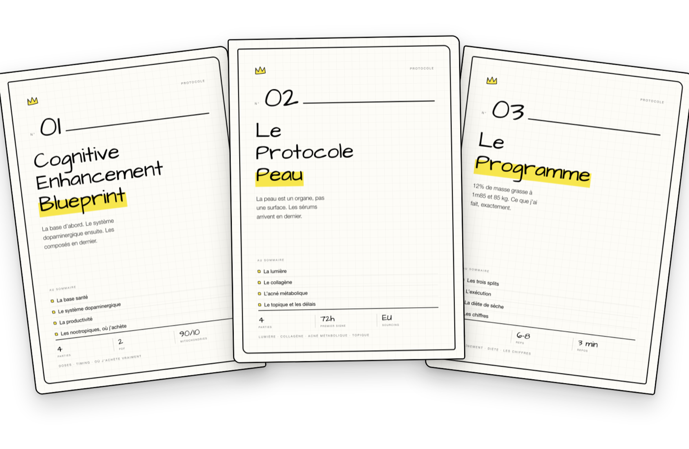 Les trois documents : Cognitive Enhancement Blueprint, Le Programme, Le Protocole Peau